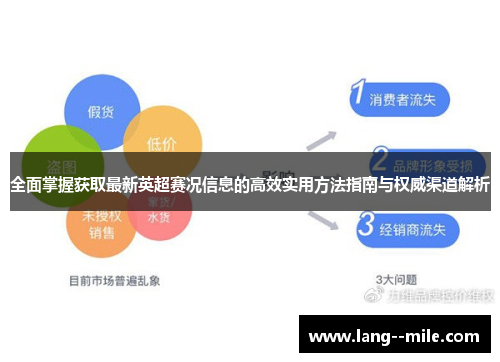 全面掌握获取最新英超赛况信息的高效实用方法指南与权威渠道解析